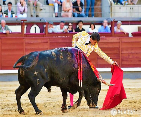 Madrid: Sangre y Verdad en Las Ventas